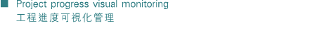   Project progress visual monitoring           