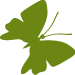 butterfly 2