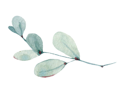 watercolor leaves collection. It's perfect for cards, patterns, flowers compositions, frames, wedding cards and invitations.