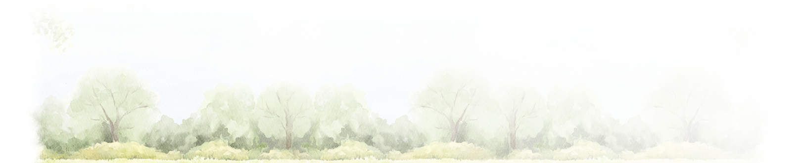 Watercolor vintage summer composition with green landscape with trees and grass with vegetation isolated on white background. Hand drawn illustration sketch
