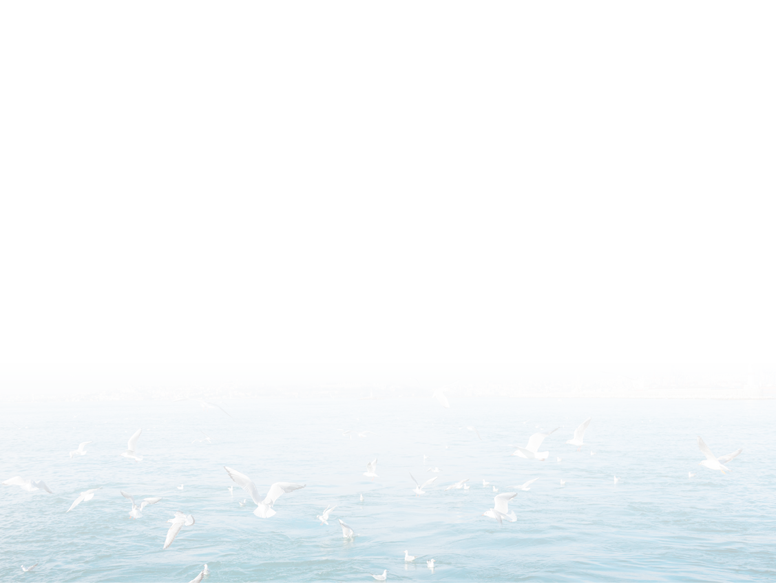 Seagulls landing in the water