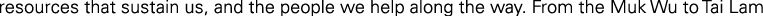 Polygon