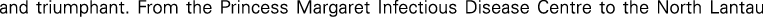 Polygon