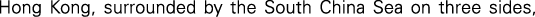 Polygon