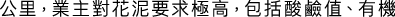 Polygon