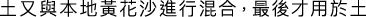 Polygon