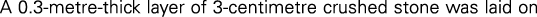 Polygon