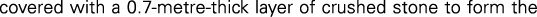 Polygon