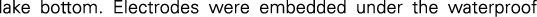 Polygon