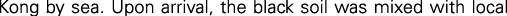 Polygon