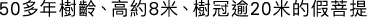 Polygon