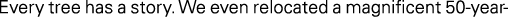 Polygon
