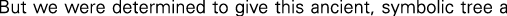 Polygon
