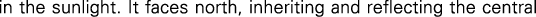 Polygon