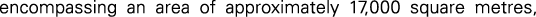 Polygon
