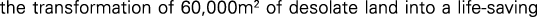 Polygon