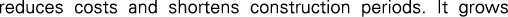 Polygon