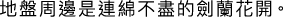 Polygon