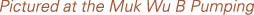 Polygon