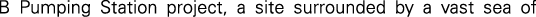 Polygon