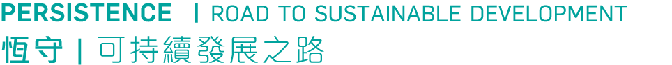 Persistence   Road to Sustainable Development             